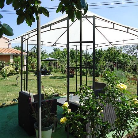 Studio Apartment Nera Ρόβινι Δωμάτιο φωτογραφία